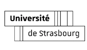 Licenciatura-en-Administracion-y-Negocios-Internacionales-Aguascalientes-strasbourg