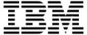Licenciatura-en-Administracion-y-Direccion-Aguascalientes-logo-IBM