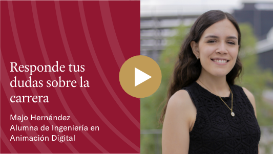 licenciatura-animacion-thumb4-director carrera