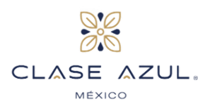 licenciatura-en-psicopedagogia-clase-azul
